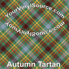 Autumn Tartan 2 sizes