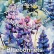 Bluebonnets printed vinyl 3 sizes