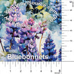 Bluebonnets printed vinyl 3 sizes