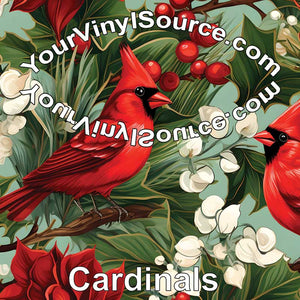 Cardinals printed vinyl 2 sizes 25% off