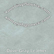 Dove Gray Leather 2 sizes