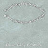 Dove Gray Leather 2 sizes