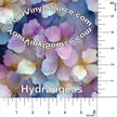 Hydrangeas 2  printed vinyl 3 sizes