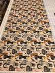 Limited Edition WRC & WPC variety 18x58