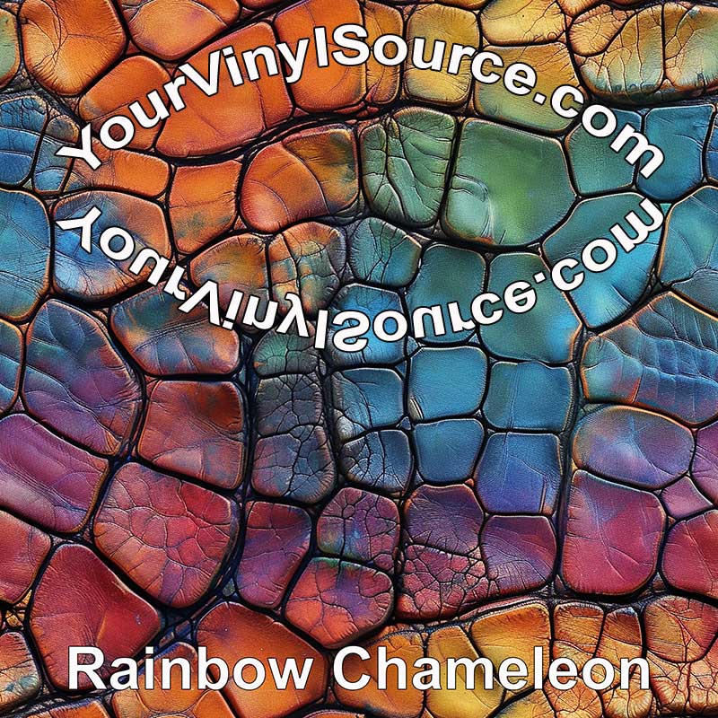 Rainbow Chameleon 2 sizes