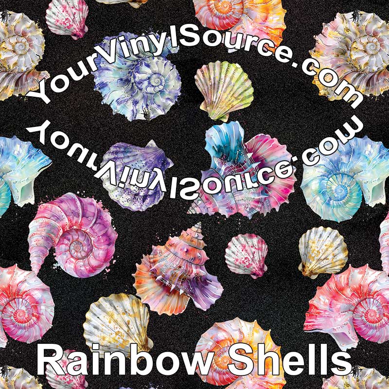 Rainbow Shells 3 sizes