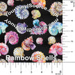 Rainbow Shells 3 sizes