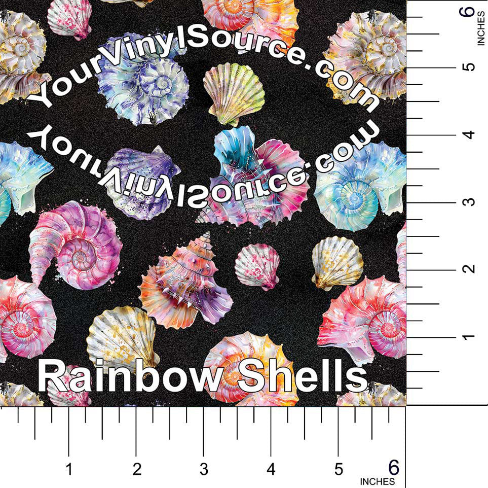 Rainbow Shells 3 sizes