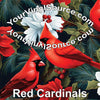 Red Cardinals printed vinyl 3 sizes