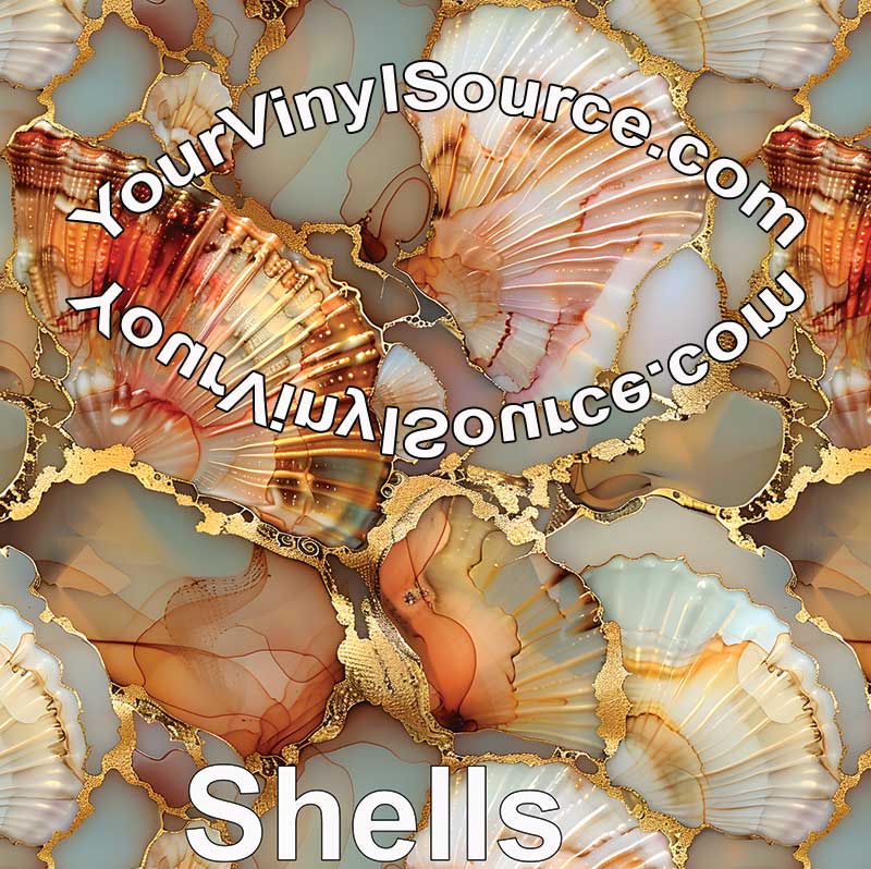 Shells 3 sizes