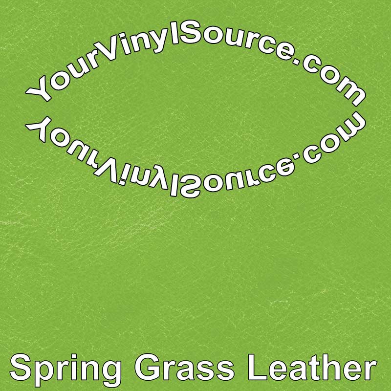 Spring Grass Leather  3 sizes