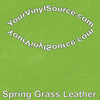 Spring Grass Leather  3 sizes
