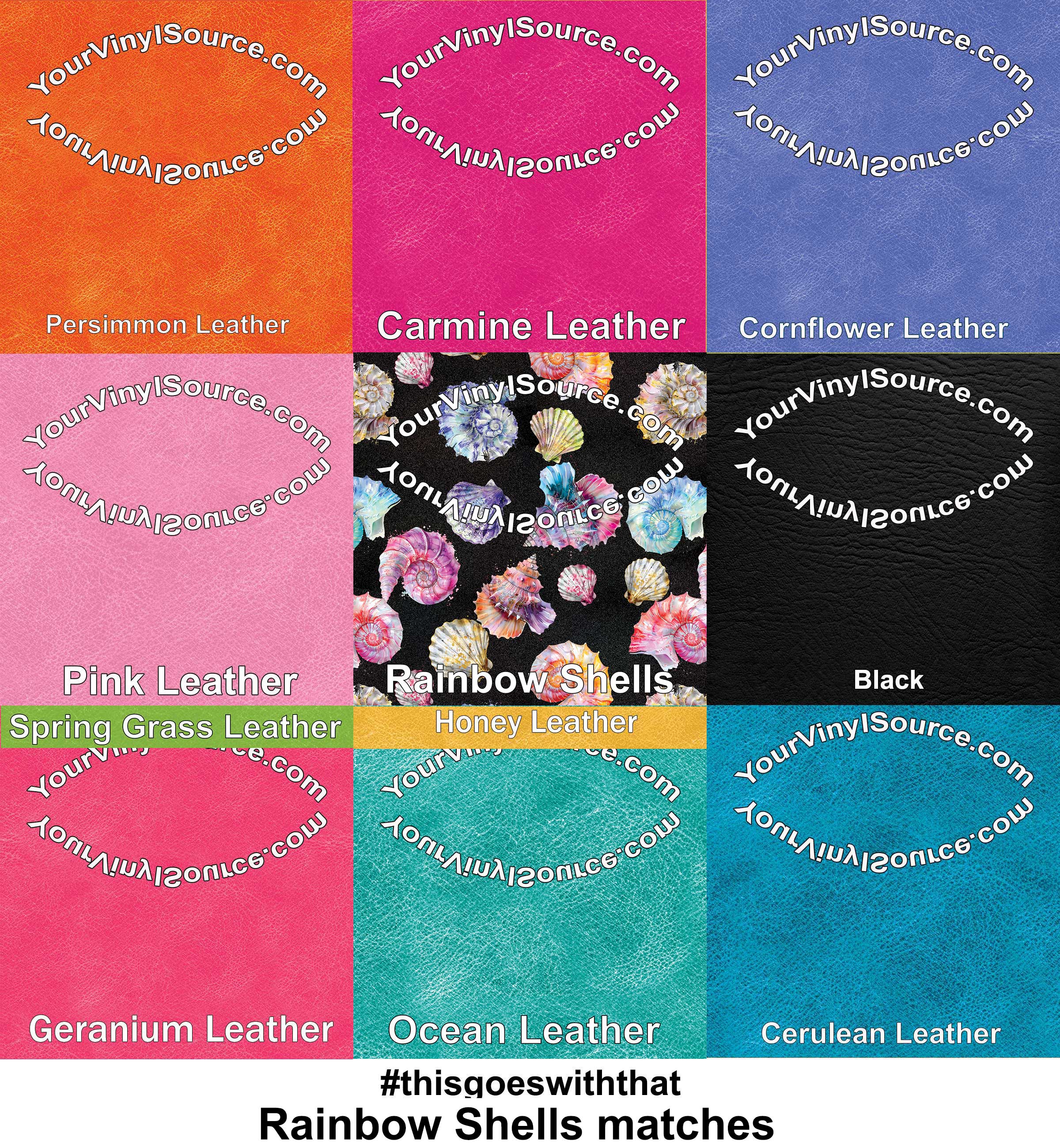 Rainbow Shells 3 sizes