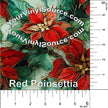 Red Poinsettia Limited Edition 2 sizes