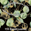 Sweet Leaves 2 sizes