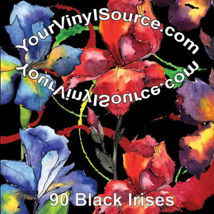 Black Irises 2 sizes