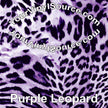 Purple Leopard 2 sizes