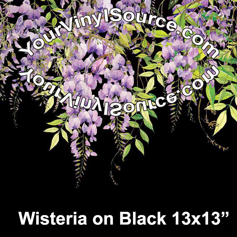 Wisteria on Black panel 13x13